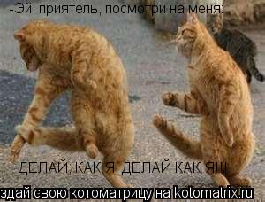 -Эй, приятель, посмотри на меня: ДЕЛАЙ, КАК Я, ДЕЛАЙ КАК Я!!!... Котоматрица: -Эй, приятель, посмотри на меня: ДЕЛАЙ, КАК Я, ДЕЛАЙ КАК Я!!!