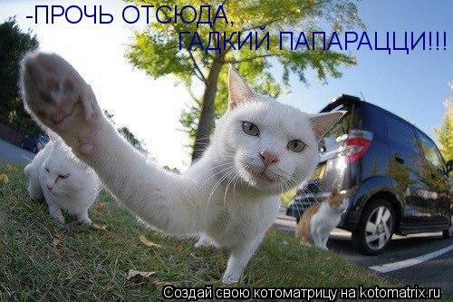 -ПРОЧЬ ОТСЮДА, ГАДКИЙ ПАПАРАЦЦИ!!!... Котоматрица: -ПРОЧЬ ОТСЮДА, ГАДКИЙ ПАПАРАЦЦИ!!!