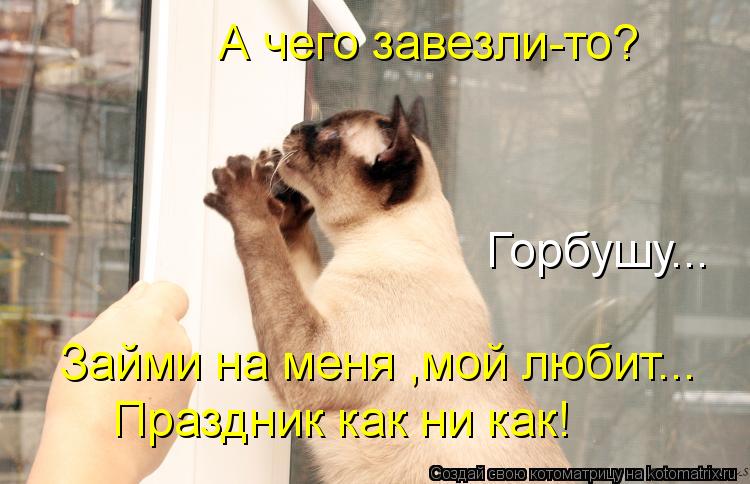 Котоматрица: А чего завезли-то? Горбушу... Займи на меня ,мой любит... Праздник как ни как!