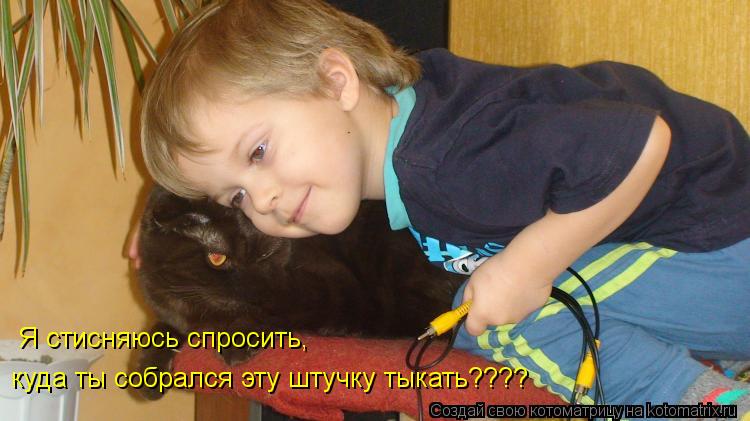 Котоматрица: куда ты собрался эту штучку тыкать???? Я стисняюсь спросить,