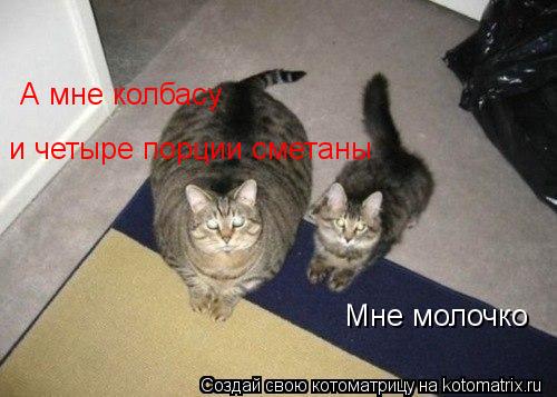 Котоматрица: Мне молочко  А мне колбасу  и четыре порции сметаны