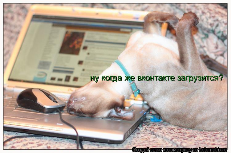 Котоматрица: ну когда же вконтакте загрузится?