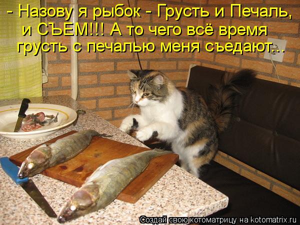 Котоматрица: - Назову я рыбок - Грусть и Печаль, и СЪЕМ!!! А то чего всё время  грусть с печалью меня съедают...