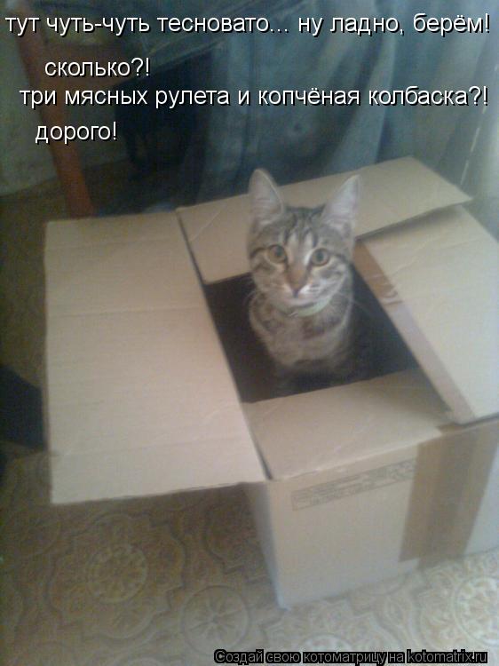 Котоматрица: тут чуть-чуть тесновато... ну ладно, берём!  сколько?! три мясных рулета и копчёная колбаска?! дорого!