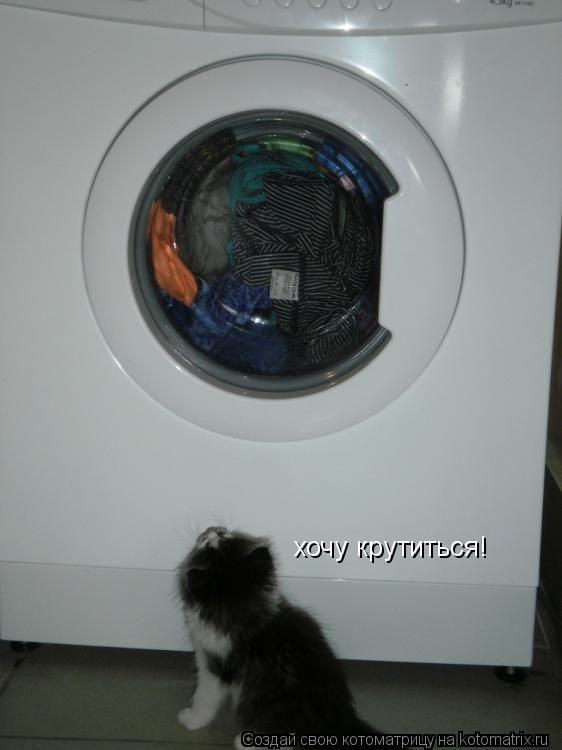 Котоматрица: хочу крутиться!