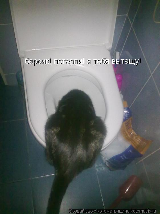 Котоматрица: барсик! потерпи! я тебя вытащу!