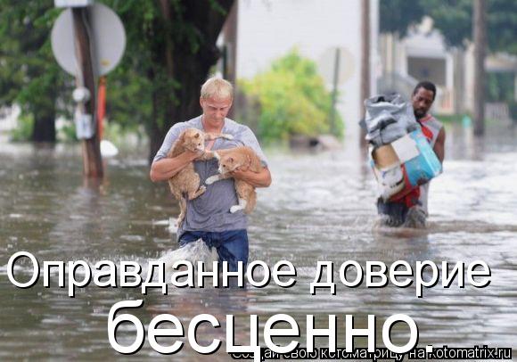 Котоматрица: Оправданное доверие бесценно.