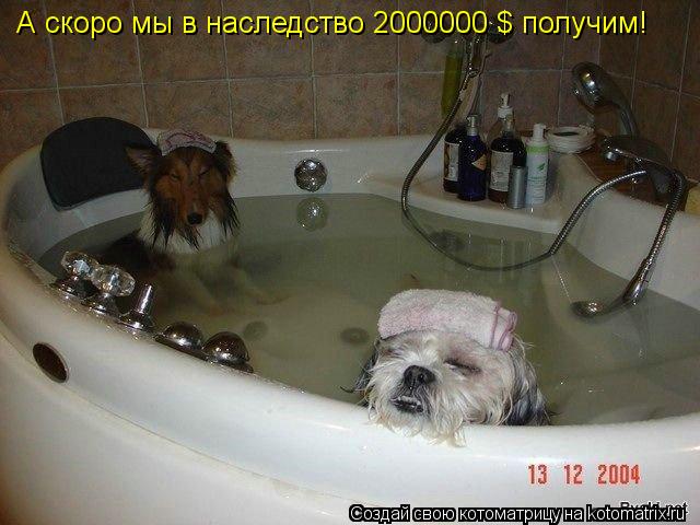 Котоматрица: А скоро мы в наследство 2000000 $ получим!