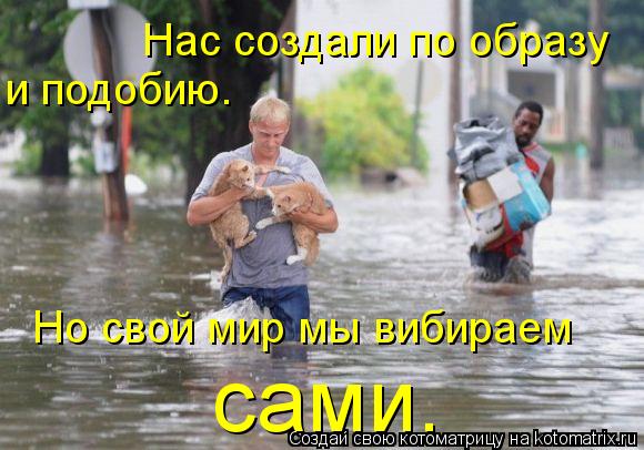 Нас создали по образу и подобию. Но свой мир мы вибираем сами.... Котоматрица: Нас создали по образу и подобию. Но свой мир мы вибираем сами.