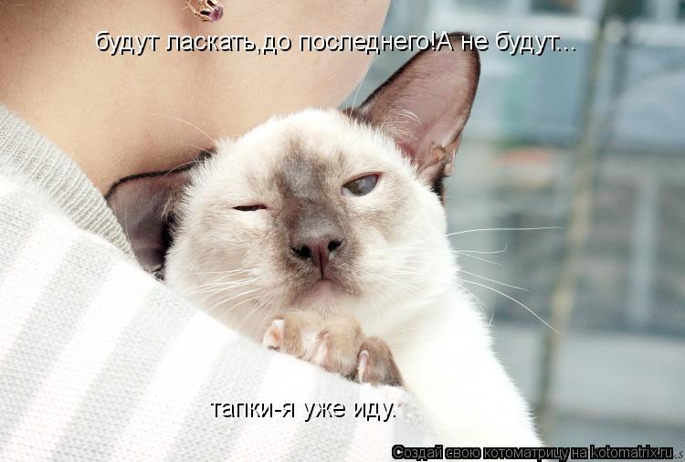 Котоматрица: будут ласкать,до последнего!А не будут... тапки-я уже иду.