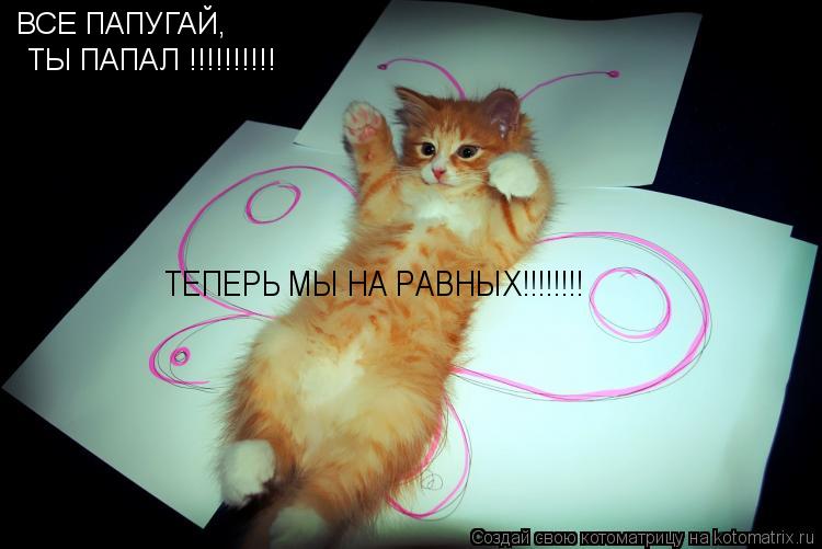 Котоматрица: ВСЕ ПАПУГАЙ, ТЫ ПАПАЛ !!!!!!!!!! ТЕПЕРЬ МЫ НА РАВНЫХ!!!!!!!!