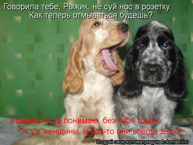 Котоматрица: Говорила тебе, Рыжик, не суй нос в розетку Как теперь отмываться будешь? Кикимор я не понимаю, без тебя тошно Ох уж женщины, и все-то они всегд