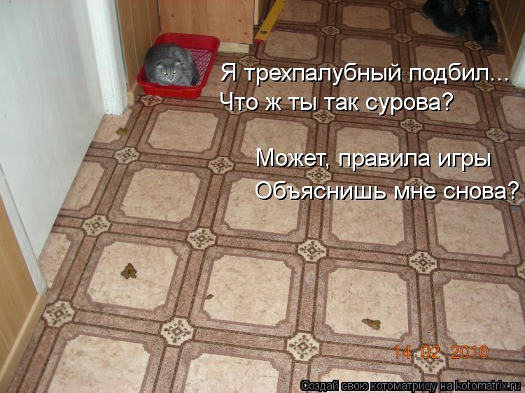 Я трехпалубный подбил... Что ж ты так сурова? Может, правила игры Объяснишь мне снова?... Котоматрица: Я трехпалубный подбил... Что ж ты так сурова? Может, правила игры Объяснишь мне снова?