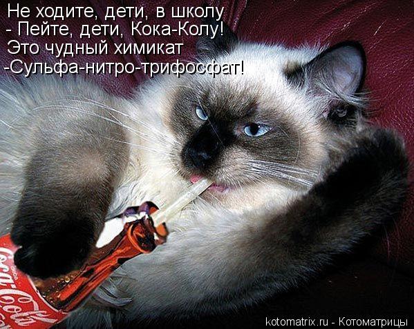 Котоматрица: Не ходите, дети, в школу - Пейте, дети, Кока-Колу! Это чудный химикат -Сульфа-нитро-трифосфат!