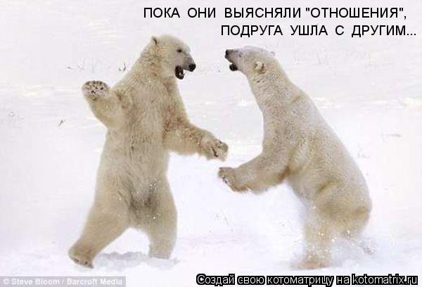 Котоматрица: ПОКА  ОНИ  ВЫЯСНЯЛИ "ОТНОШЕНИЯ", ПОДРУГА  УШЛА  С  ДРУГИМ...