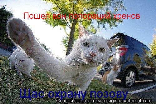 Котоматрица: Пошел вон попораций хренов Щас охрану позову