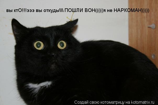 вы ктО!!!эээ вы откуды\\\ ПОШЛИ ВОН(((((я не НАРКОМАН)))))... Котоматрица: вы ктО!!!эээ вы откуды\\\ ПОШЛИ ВОН(((((я не НАРКОМАН)))))