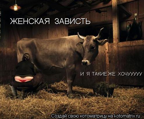 ЖЕНСКАЯ ЗАВИСТЬ И Я ТАКИЕ ЖЕ ХОЧУУУУУ... Котоматрица: ЖЕНСКАЯ ЗАВИСТЬ И Я ТАКИЕ ЖЕ ХОЧУУУУУ