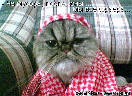 - Че мусора, после зоны ... мы все фраера...... Котоматрица: - Че мусора, после зоны ... мы все фраера...