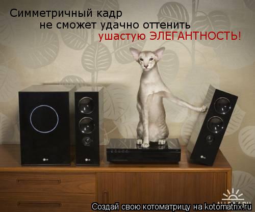 Симметричный кадр не сможет удачно оттенить ушастую ЭЛЕГАНТНОСТЬ!... Котоматрица: Симметричный кадр не сможет удачно оттенить ушастую ЭЛЕГАНТНОСТЬ!