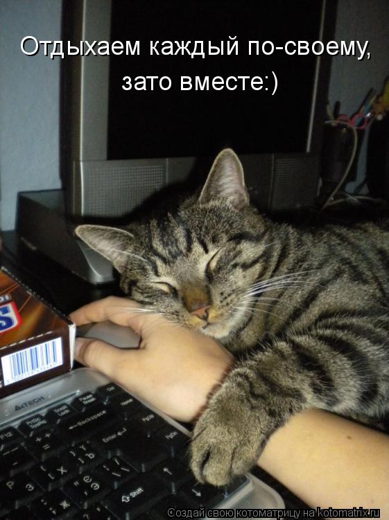 Отдыхаем каждый по-своему, зато вместе:)... Котоматрица: Отдыхаем каждый по-своему, зато вместе:)