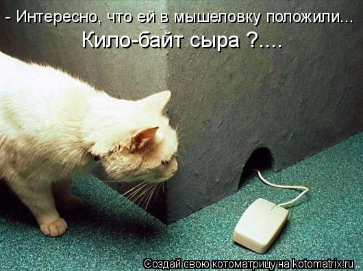- Интересно, что ей в мышеловку положили... Кило-байт сыра ?....... Котоматрица: - Интересно, что ей в мышеловку положили... Кило-байт сыра ?....