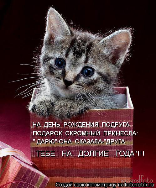 НА ДЕНЬ РОЖДЕНИЯ ПОДРУГА ПОДАРОК СКРОМНЫЙ ПРИНЕСЛА: " ДАРЮ"-ОНА СКАЗАЛА-"ДРУГА ТЕБЕ НА ДОЛГ... Котоматрица: НА ДЕНЬ РОЖДЕНИЯ ПОДРУГА ПОДАРОК СКРОМНЫЙ ПРИНЕСЛА: " ДАРЮ"-ОНА СКАЗАЛА-"ДРУГА ТЕБЕ НА ДОЛГИЕ ГОДА"!!!