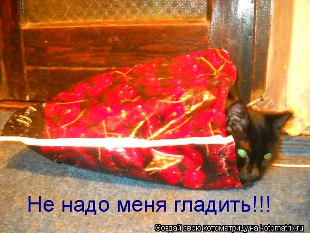 Не надо меня гладить!!!... Котоматрица: Не надо меня гладить!!!