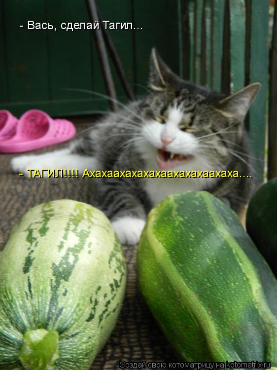- Вась, сделай Тагил... - ТАГИЛ!!!! Ахахаахахахахаахахахаахаха....... Котоматрица: - Вась, сделай Тагил... - ТАГИЛ!!!! Ахахаахахахахаахахахаахаха....