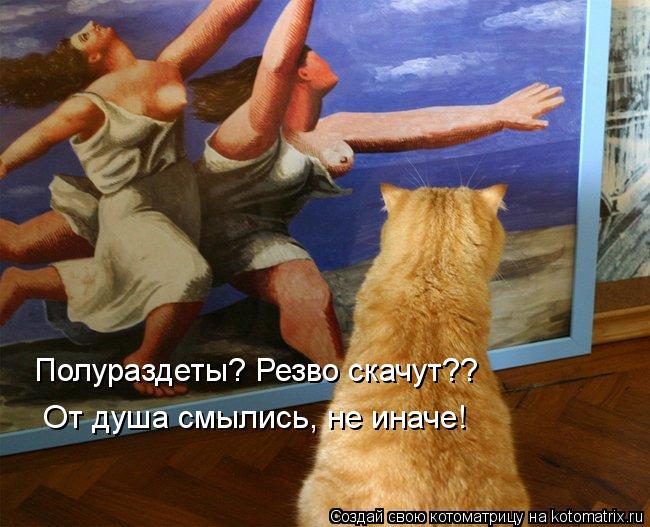 Полураздеты? Резво скачут?? От душа смылись, не иначе!... Котоматрица: Полураздеты? Резво скачут?? От душа смылись, не иначе!