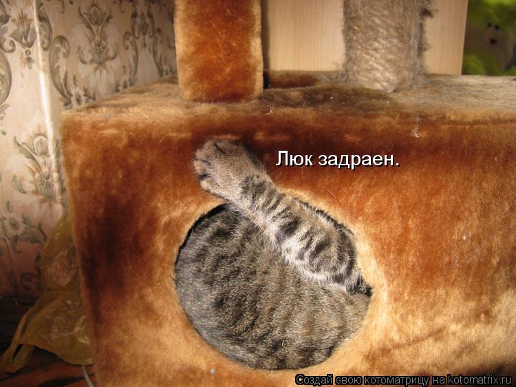 Люк задраен.... Котоматрица: Люк задраен.