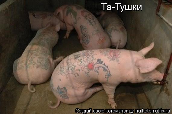 Котоматрица: Та-Тушки