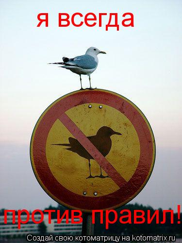 Котоматрица: я всегда против правил!