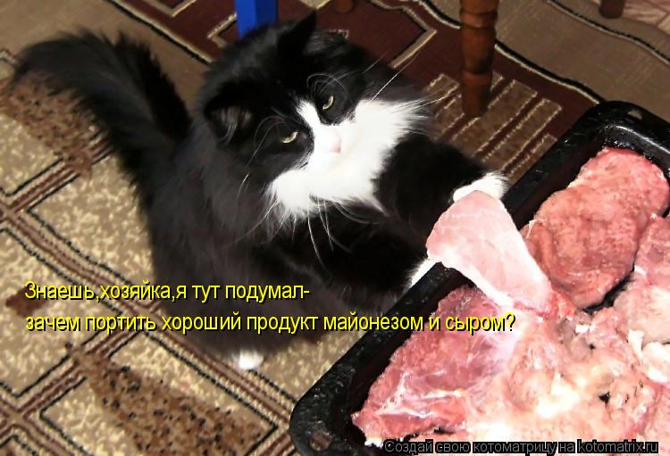 Котоматрица: Знаешь,хозяйка,я тут подумал- зачем портить хороший продукт майонезом и сыром?