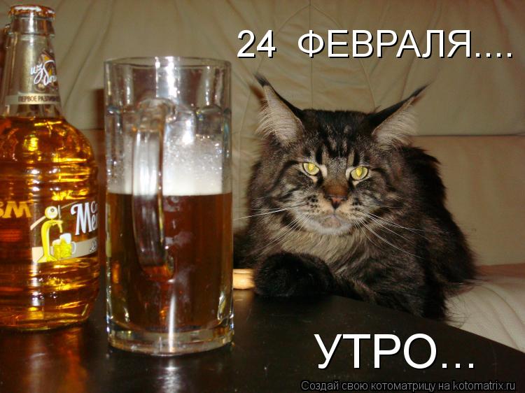 Котоматрица: 24  ФЕВРАЛЯ.... УТРО...