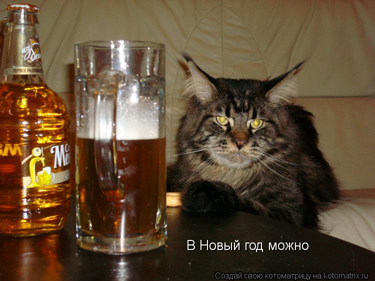 В Новый год можно... Котоматрица: В Новый год можно