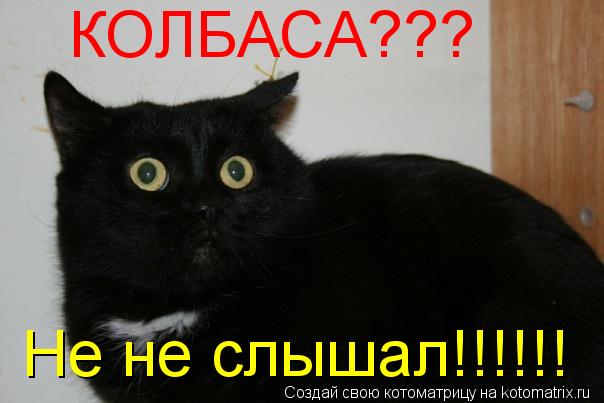 КОЛБАСА??? Не не слышал!!!!!!... Котоматрица: КОЛБАСА??? Не не слышал!!!!!!
