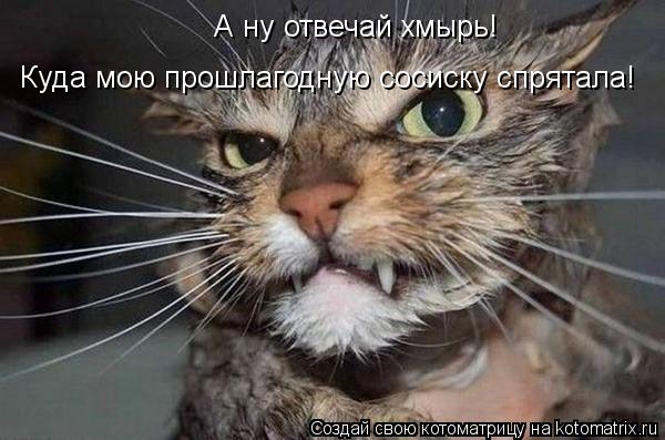 А ну отвечай хмырь! Куда мою прошлагодную сосиску спрятала!... Котоматрица: А ну отвечай хмырь! Куда мою прошлагодную сосиску спрятала!