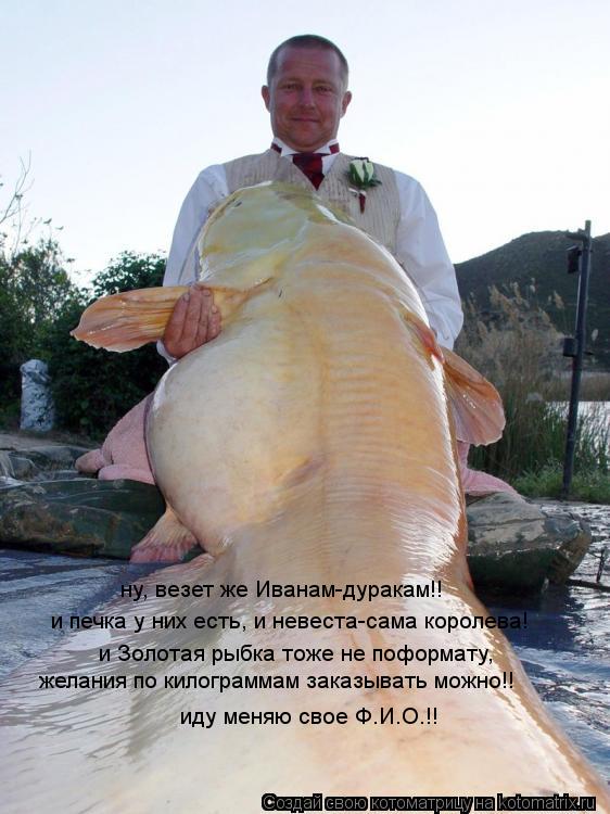 и печка у них есть, и невеста-сама королева! и Золотая рыбка тоже не поформату, желания по килограмм... Котоматрица: и печка у них есть, и невеста-сама королева! и Золотая рыбка тоже не поформату, желания по килограммам заказывать можно!! ну, везет же Иванам-