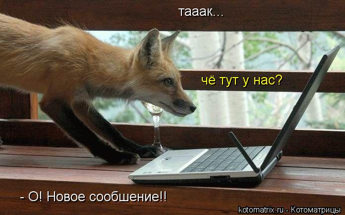тааак... чё тут у нас? - О! Новое сообшение!!... Котоматрица: тааак... чё тут у нас? - О! Новое сообшение!!