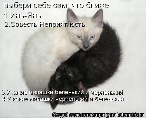 выбери себе сам, что ближе: 1.Инь-Янь. 2.Совесть-Неприятность. 3.У какие милашки беленький и черненьк... Котоматрица: выбери себе сам, что ближе: 1.Инь-Янь. 2.Совесть-Неприятность. 3.У какие милашки беленький и черненький. 4.У какие милашки черненький и беленьки
