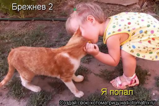 Брежнев 2 Я попал... Котоматрица: Брежнев 2 Я попал