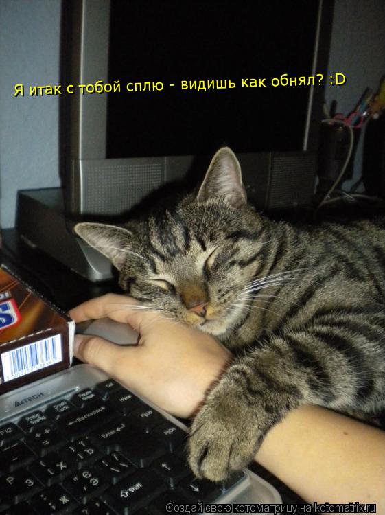 Котоматрица: Я итак с тобой сплю - видишь как обнял? :D