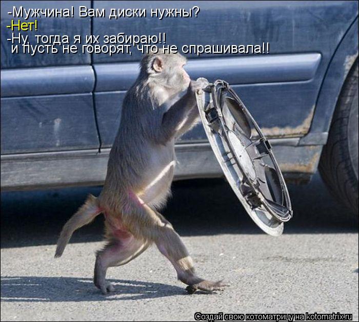 Котоматрица: -Мужчина! Вам диски нужны? -Нет! -Ну, тогда я их забираю!! и пусть не говорят, что не спрашивала!!