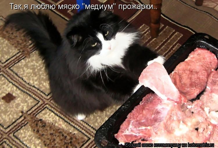 Котоматрица: Так,я люблю мяско "медиум" прожарки..