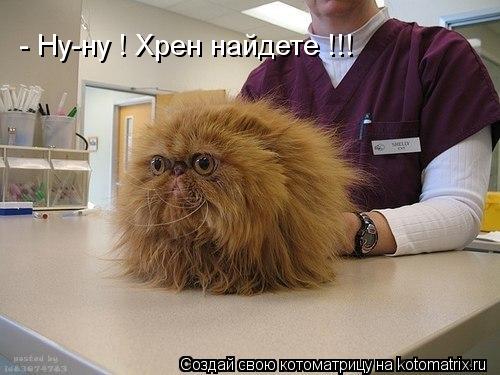 Котоматрица: - Ну-ну ! Хрен найдете !!!