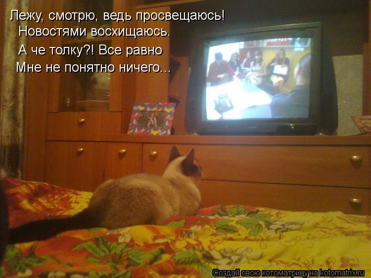 Котоматрица: Лежу, смотрю, ведь просвещаюсь! Новостями восхищаюсь. А че толку?! Все равно Мне не понятно ничего...