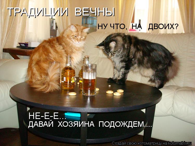 Котоматрица: ДАВАЙ  ХОЗЯИНА  ПОДОЖДЕМ.... НЕ-Е-Е... НУ ЧТО,  НА   ДВОИХ? ТРАДИЦИИ  ВЕЧНЫ