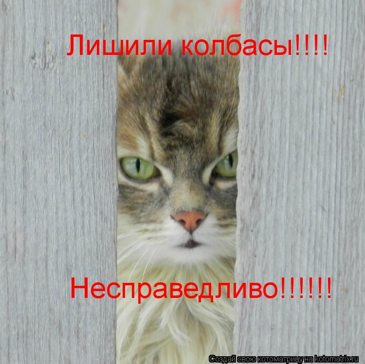 Котоматрица: Лишили колбасы!!!! Несправедливо!!!!!!