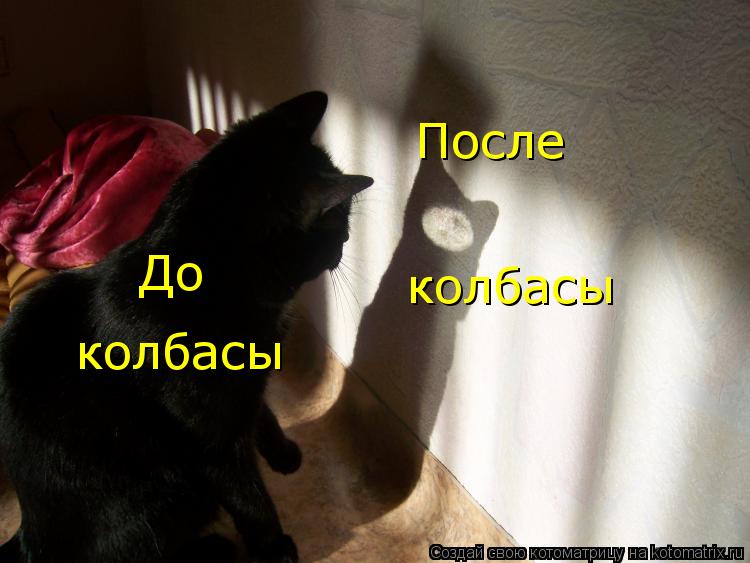 Котоматрица: До колбасы После  колбасы